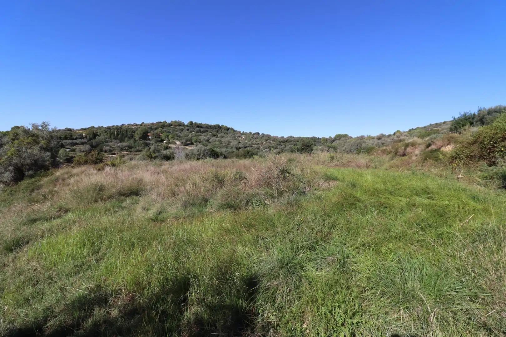Grundstücke zum Verkauf in Ulldecona