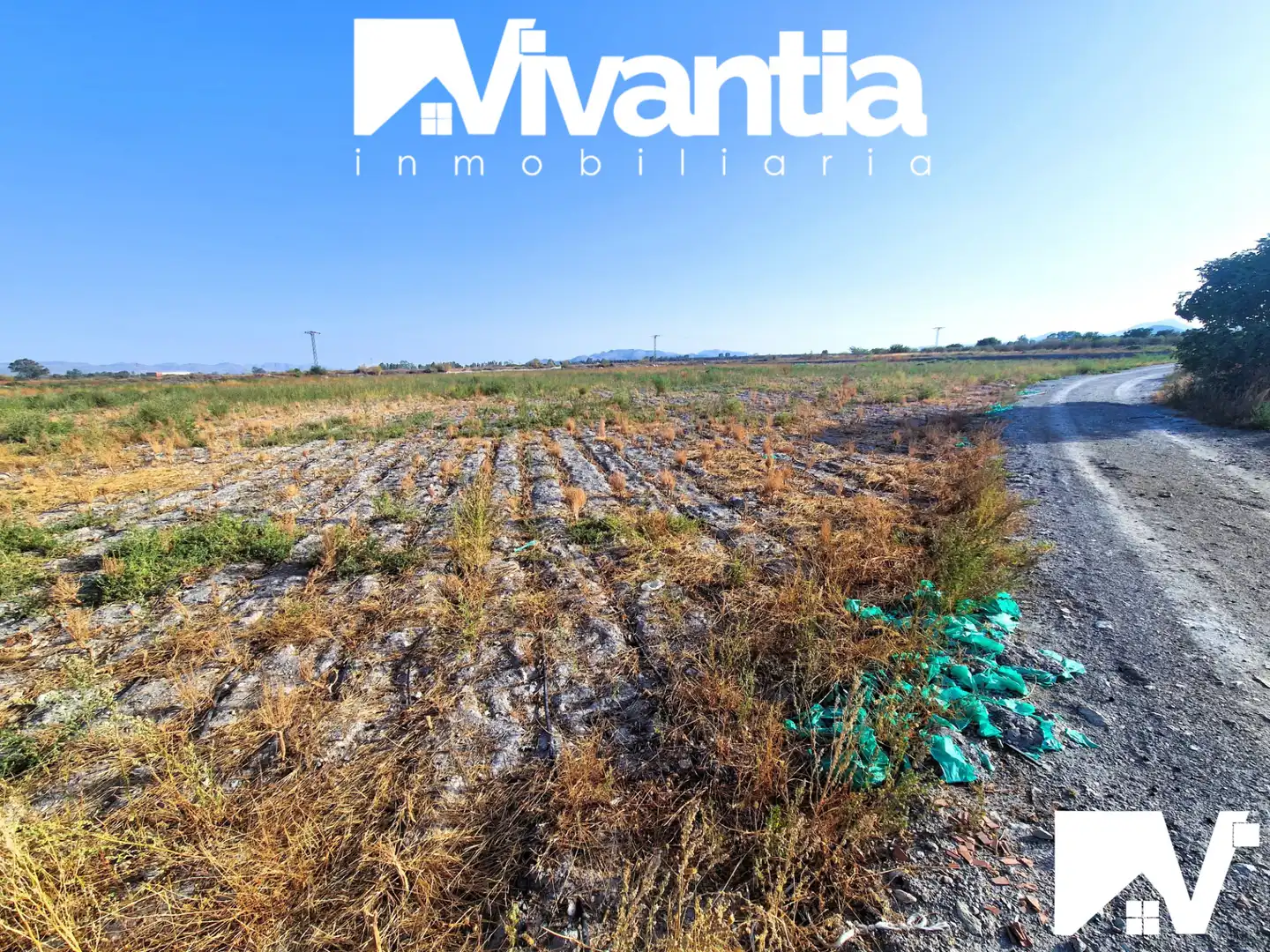 Terreni e lotti in vendita a Diseminado Torrecilla 477, imagen 5