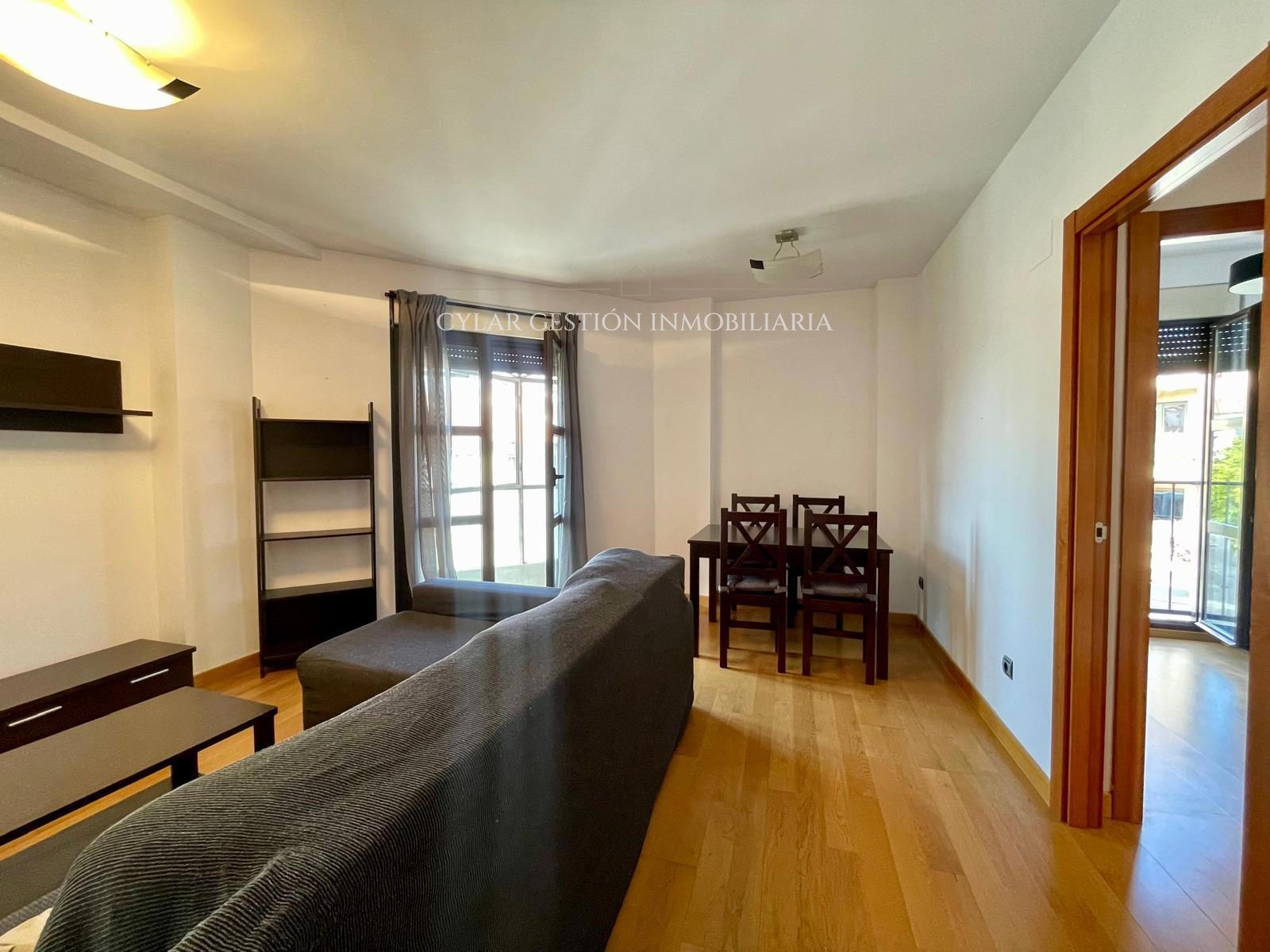 Sala d'estar de Pis de lloguer en Salamanca Capital amb Calefacció, Parquet i Moblat