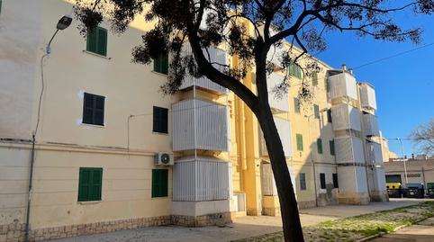 Photo 4 of Flat for sale in Mare de Déu de Lluc,  Palma de Mallorca