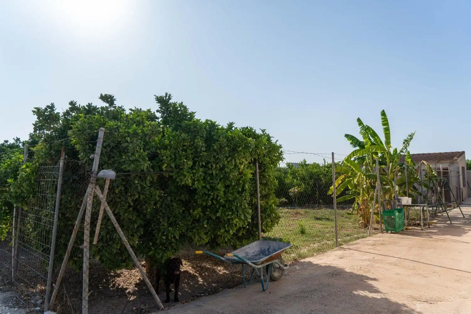 Casa o xalet en venda a Montepinar - La Aparecida - Raiguero