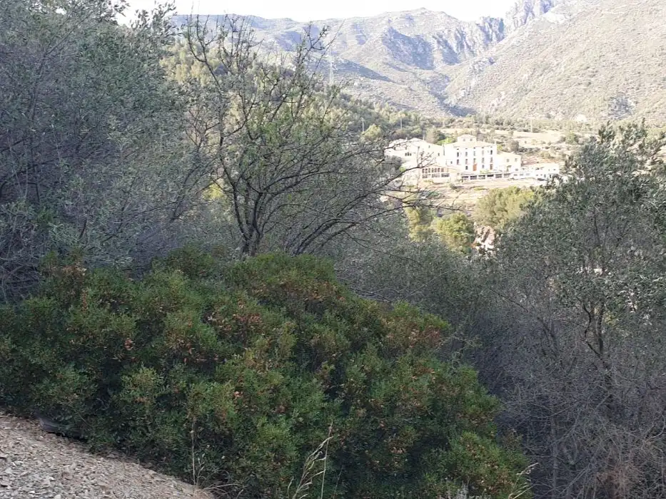 Terreny residencial en venda a Mirador de Montserrat 22, imagen 5