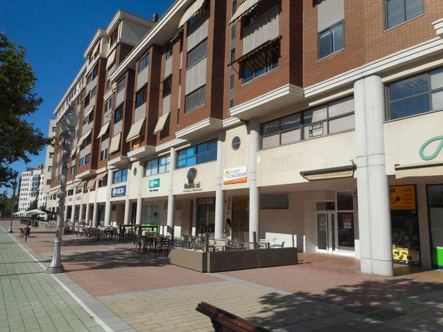 Oficina en Alquiler en Paseo de Zorrilla, 171 en Parque Alameda - Paula López