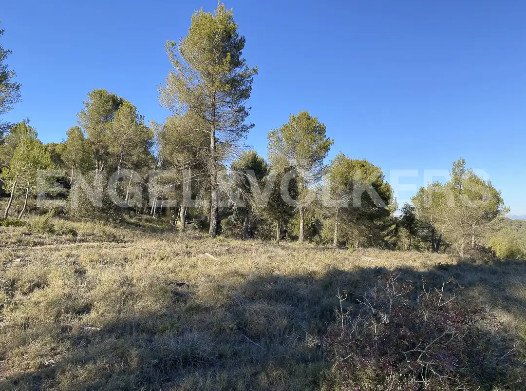 Terreno residenziale in vendita a Carrer Serrat Ferrer, imagen 7