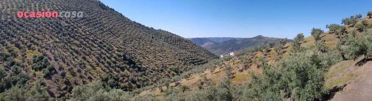 Vista exterior de Finca rústica en venta en Villanueva de Córdoba con Jardín privado, Trastero y Amueblado