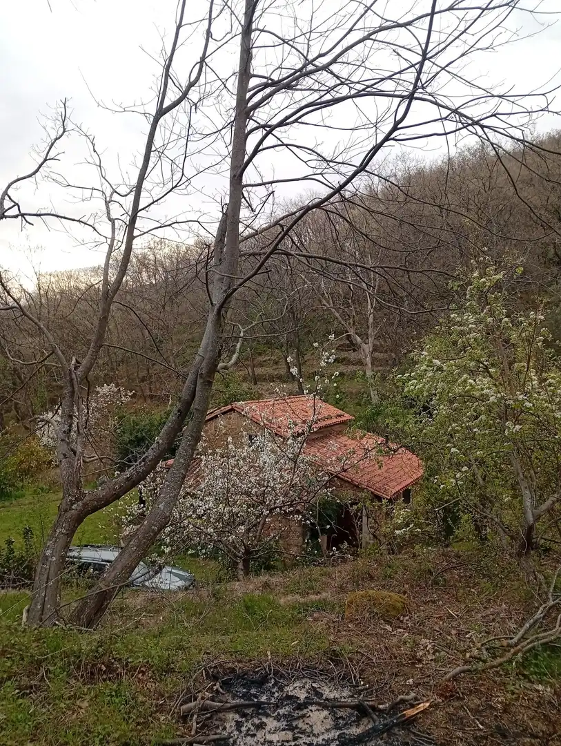 Terreni e lotti in vendita a Valverde de la Vera, imagen 64
