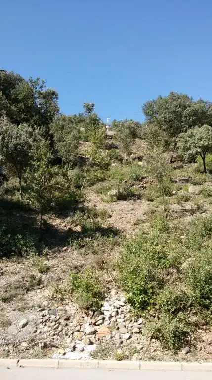 Residential land for sale in la Pedrera, imagen 2