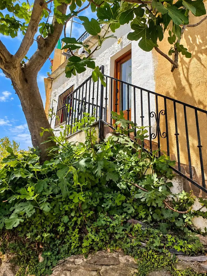 Casa con terraza en venta en Bérchules, imagen 22