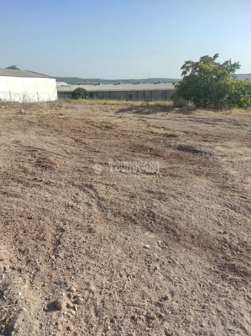Terreny industrial en venda a Los santos, Navas del Sepillar