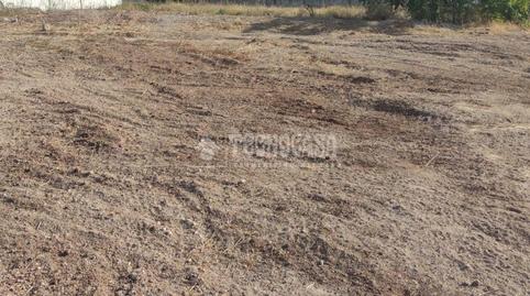 Foto 5 de Terreny industrial en venda a Navas del Sepillar, Lucena