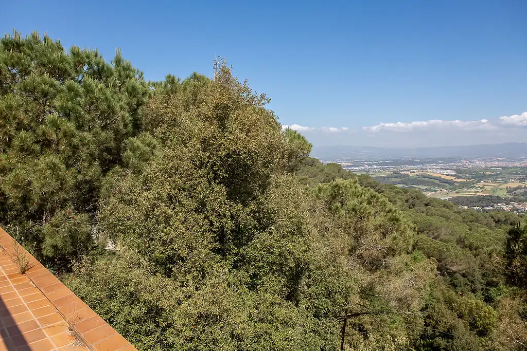 Gebäude zum Verkauf in Vilanova del Vallès