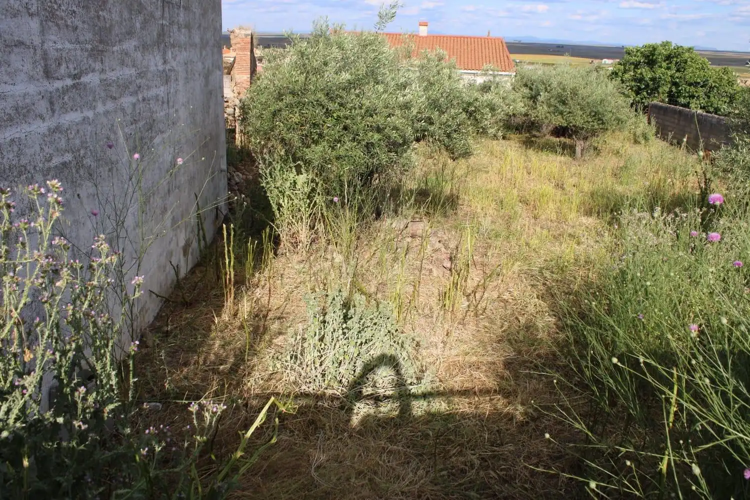 Terreni e lotti in vendita a Sierra de Fuentes, imagen 3