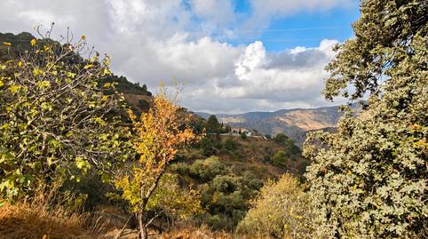 Foto 5 de Finca rústica en venda a Residencial Jardín Botánico, Málaga