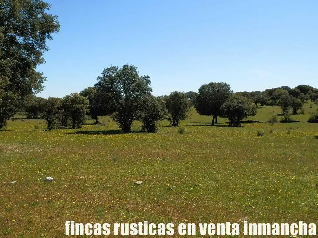Terreno rustico in vendita a Ciudad Rodrigo, imagen 34