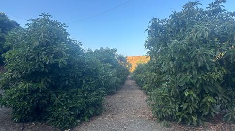 Photo 4 of Land for sale in Calle Iznate, 5, Santa Cristina - San Rafael, Málaga