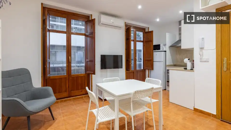 Piso con terraza en alquiler en Ciutat Vella, imagen 7