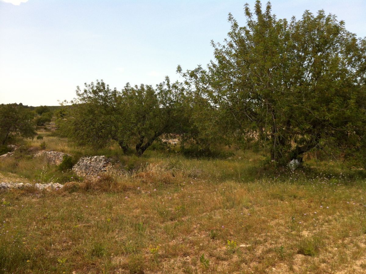 Residencial en venda en La Pobla de Montornès  