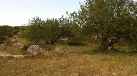 Foto 2 de Residencial en venda a Castell de Montornes, 1, La Pobla de Montornès  , Tarragona