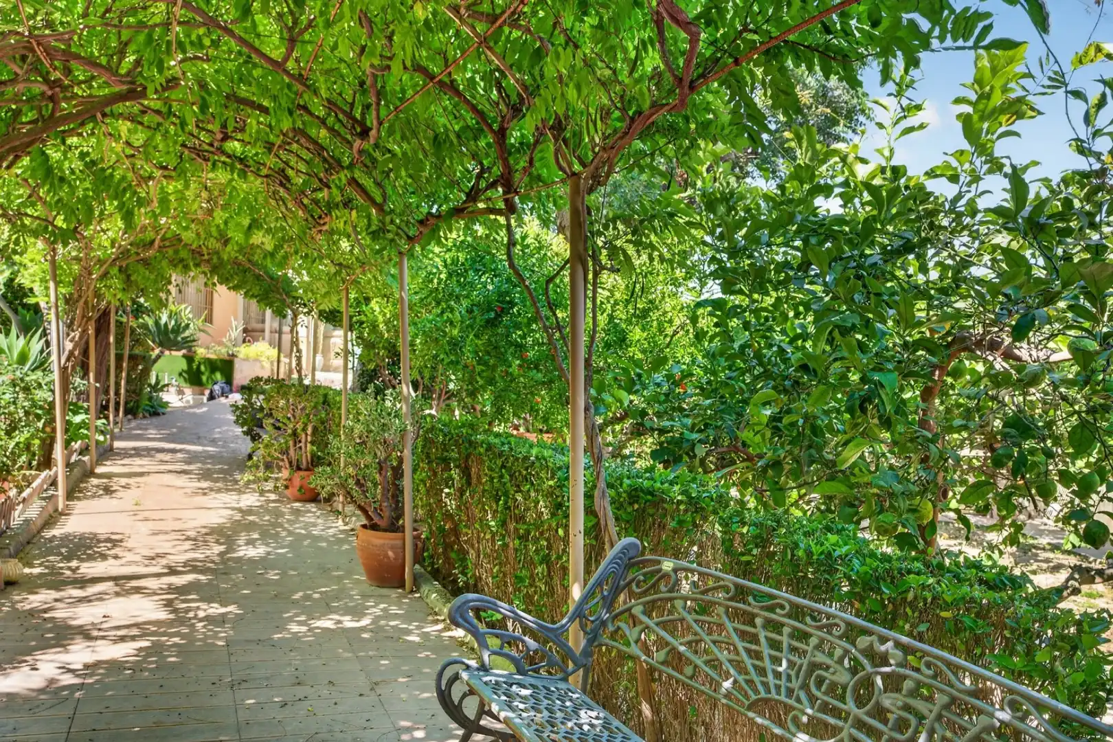 Terraza de Casa o chalet en venta en Benferri con Piscina