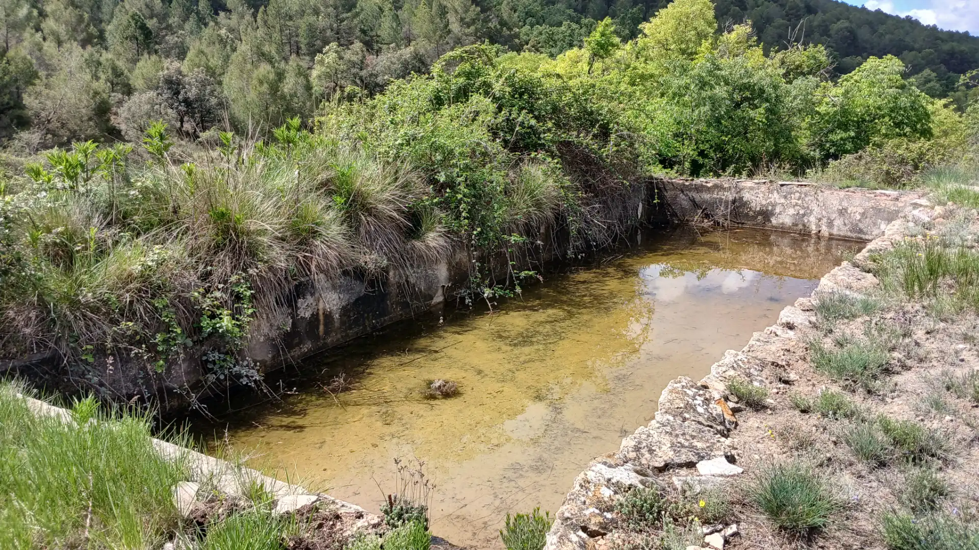 Schwimmbecken von Grundstücke zum Verkauf in La Cerollera