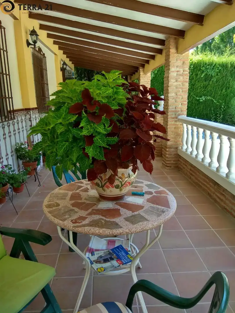 Xalet en venda a Puente Jontoya - Puente de la Sierra - El Arroyo, imagen 41