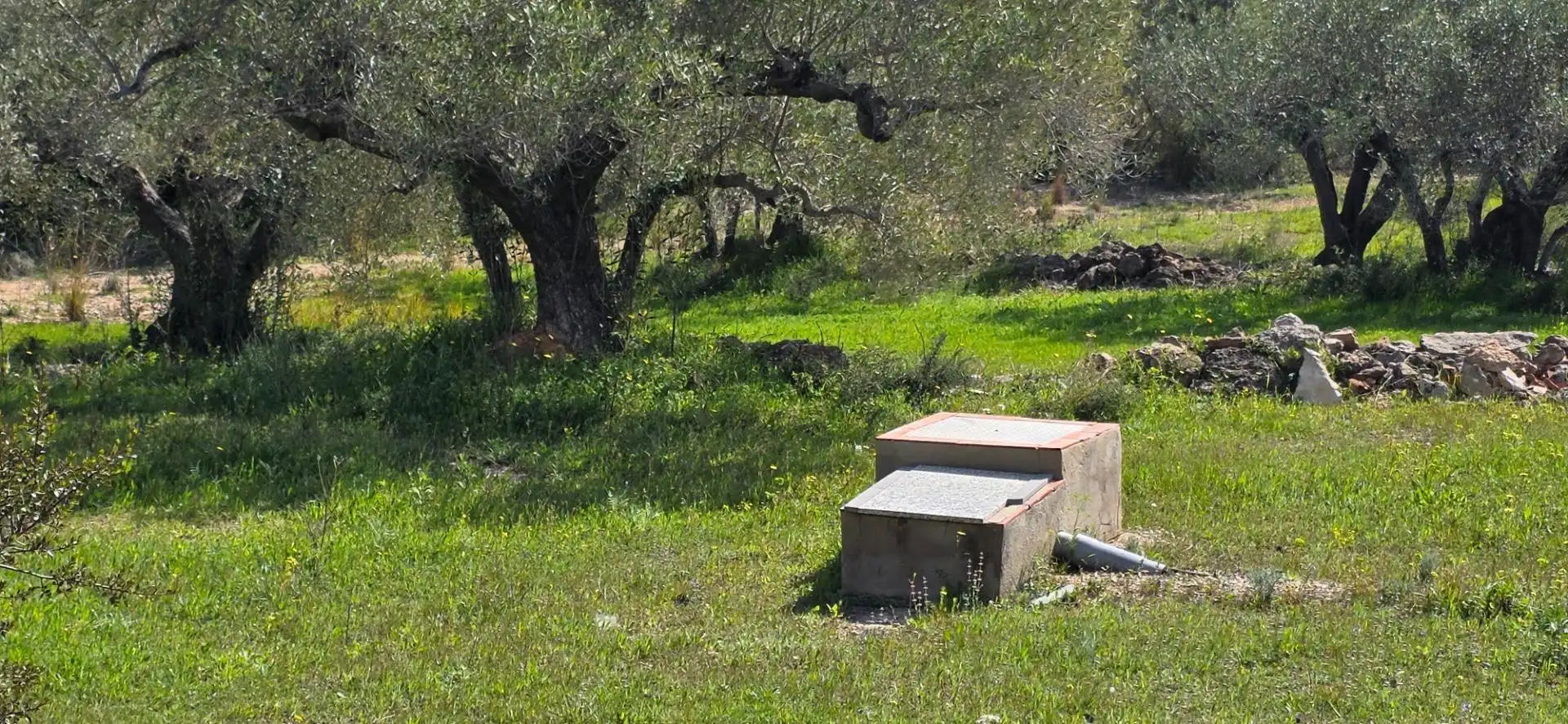Maison rustique à vendre à L'Ametlla de Mar pueblo, imagen 22