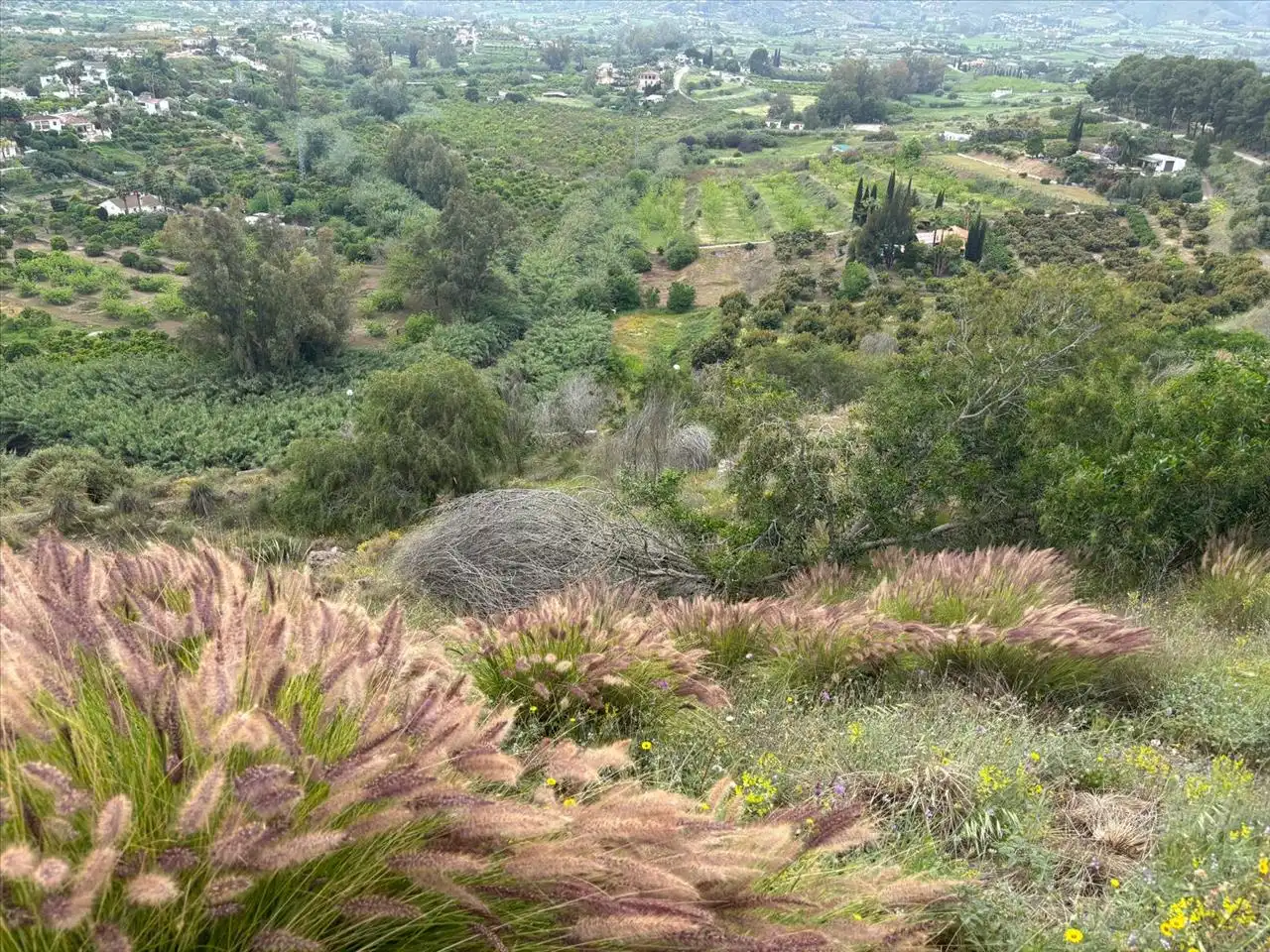 Terreni e lotti in vendita a Sierra Gorda, imagen 11