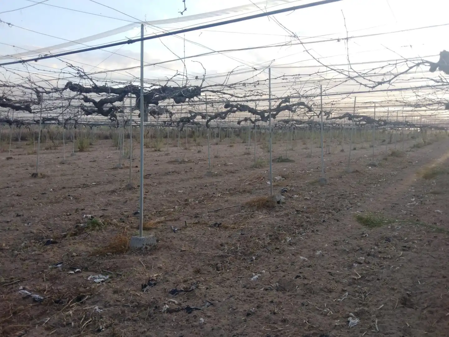 Grundstücke zum Verkauf in Camino Monroy , Pedanías Norte