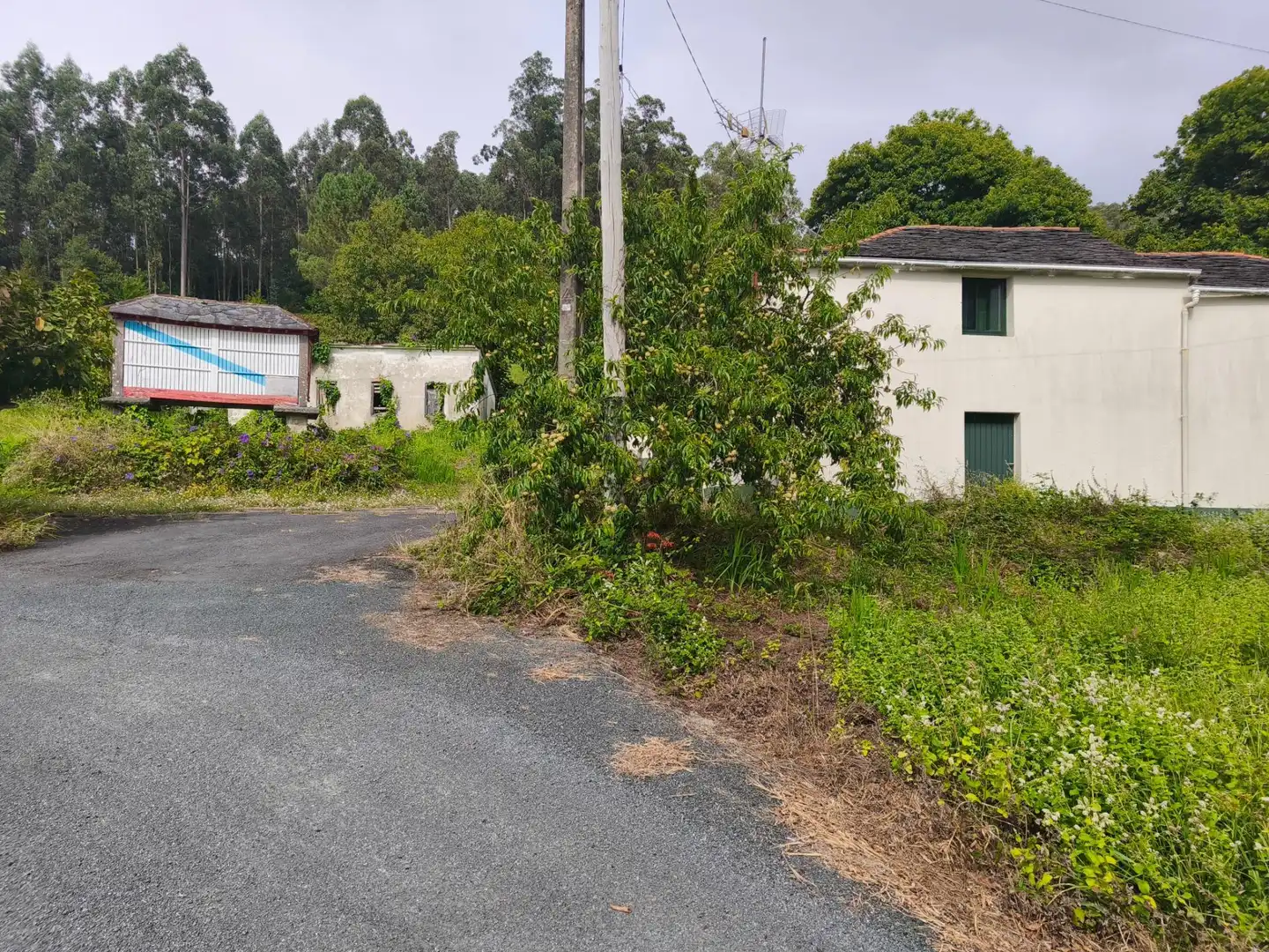 Casa en venda a SEARA. FERREIRA, imagen 43