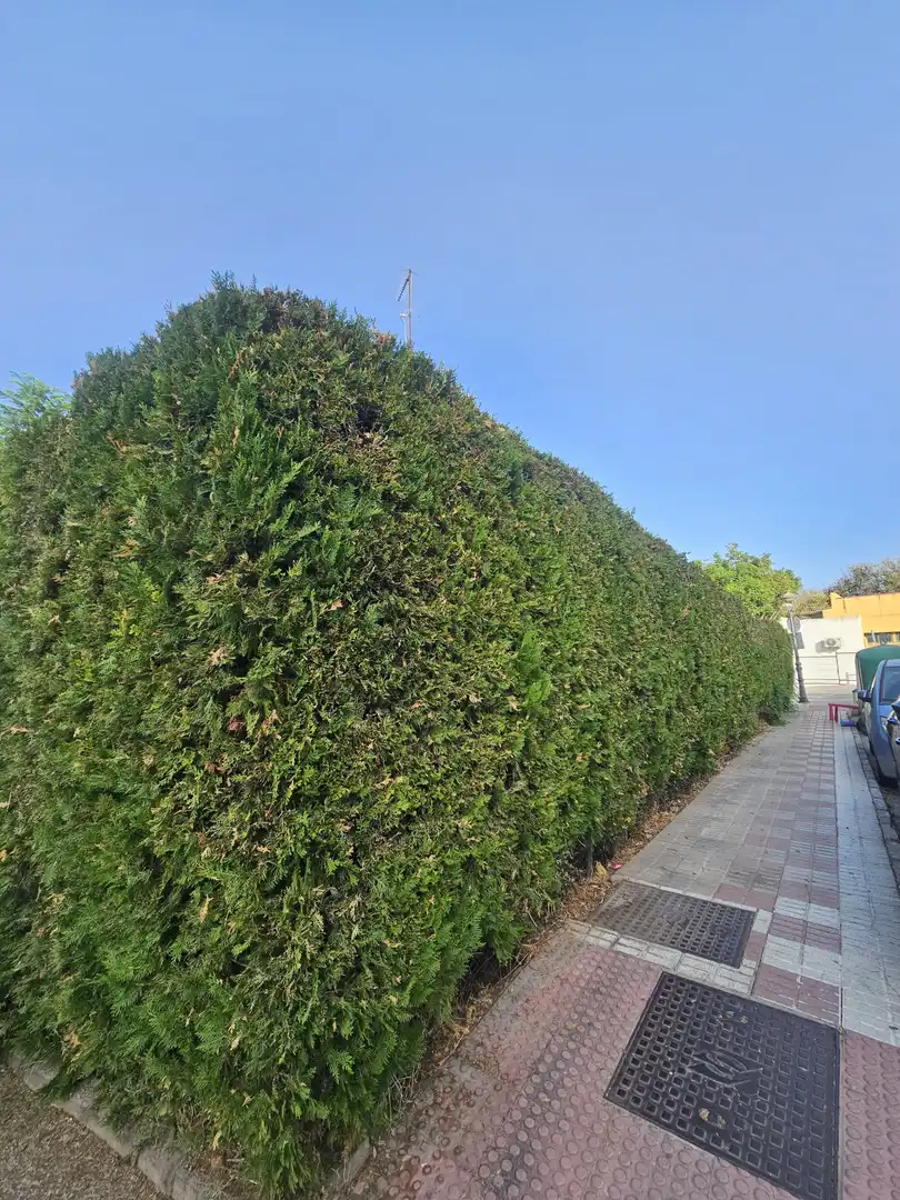Maison mitoyenne avec terrasse à vendre à Estepona Pueblo, imagen 22