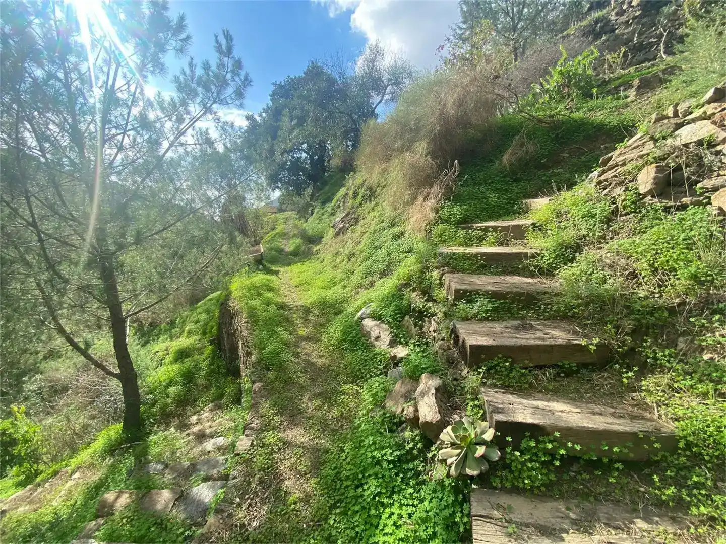 Finca rústica en venta en Arenas, Málaga