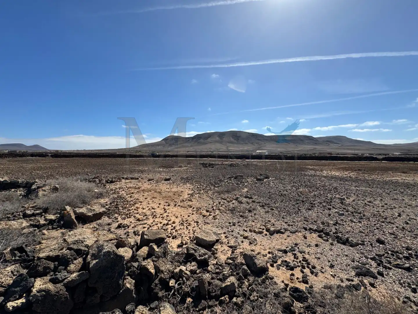 Land for sale in La Oliva