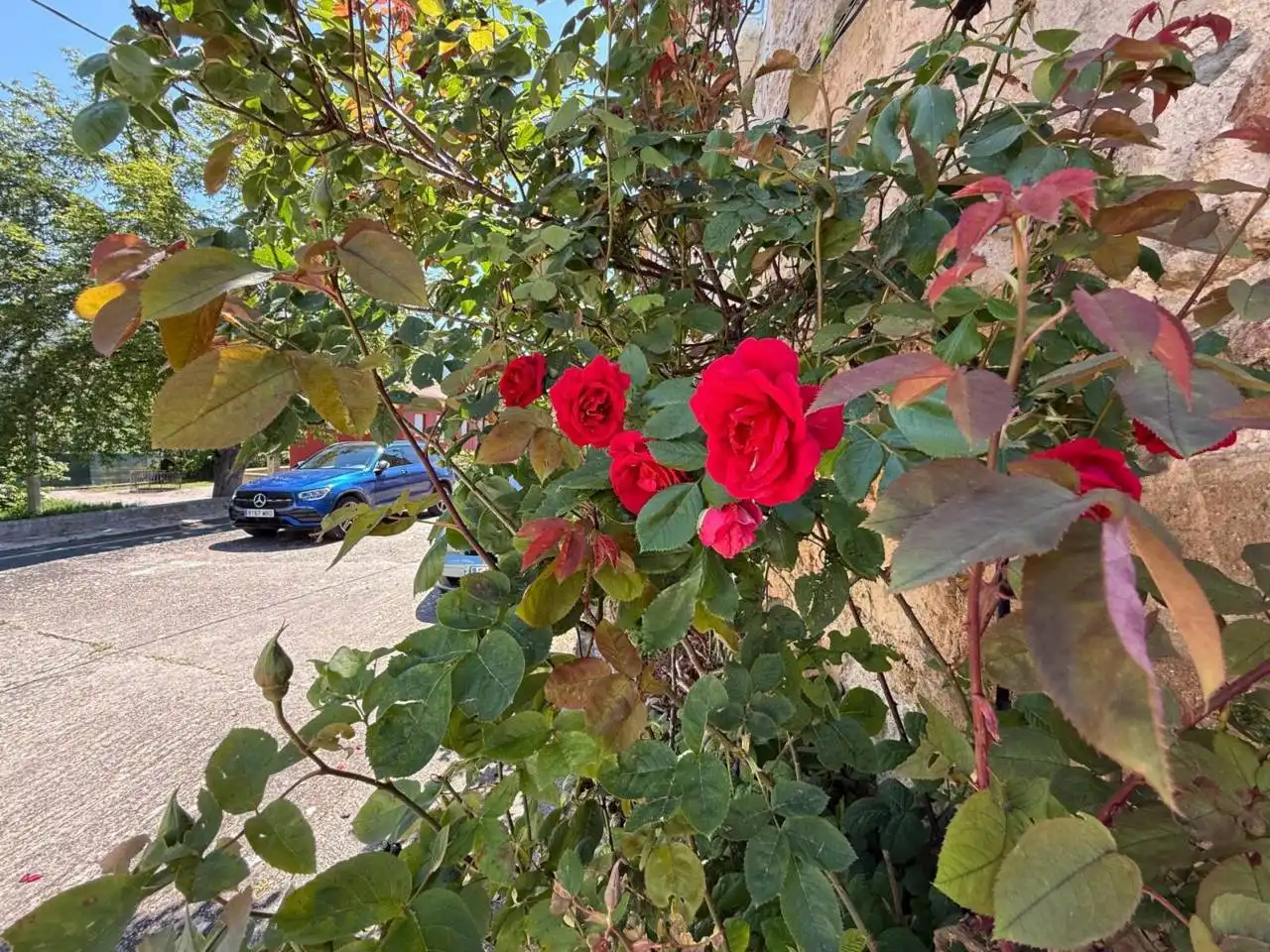 Vista exterior de Casa adosada en venta en Oña