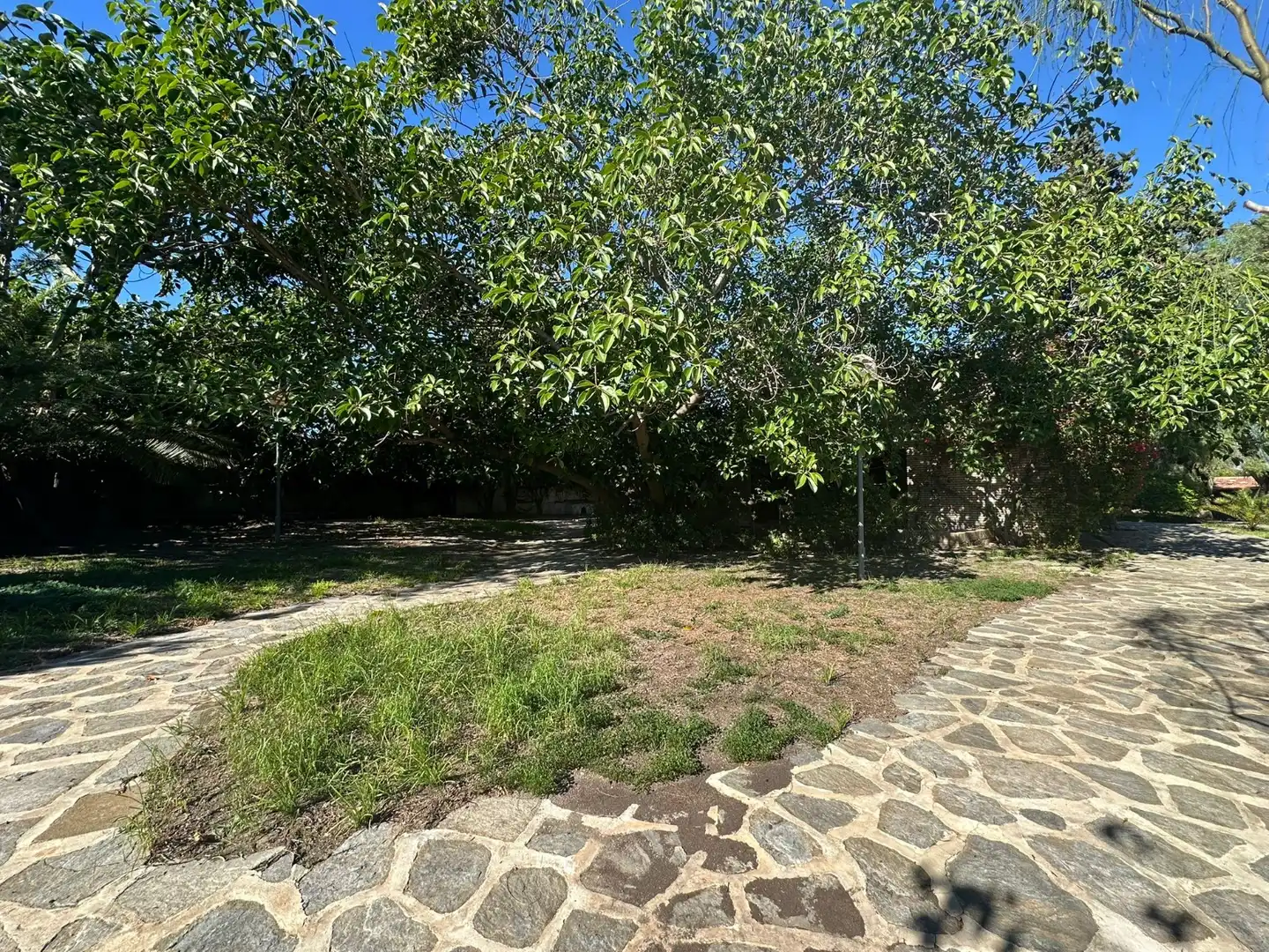 Casa o xalet en venda en Alicante / Alacant amb Jardí privat, Terrassa i Piscina