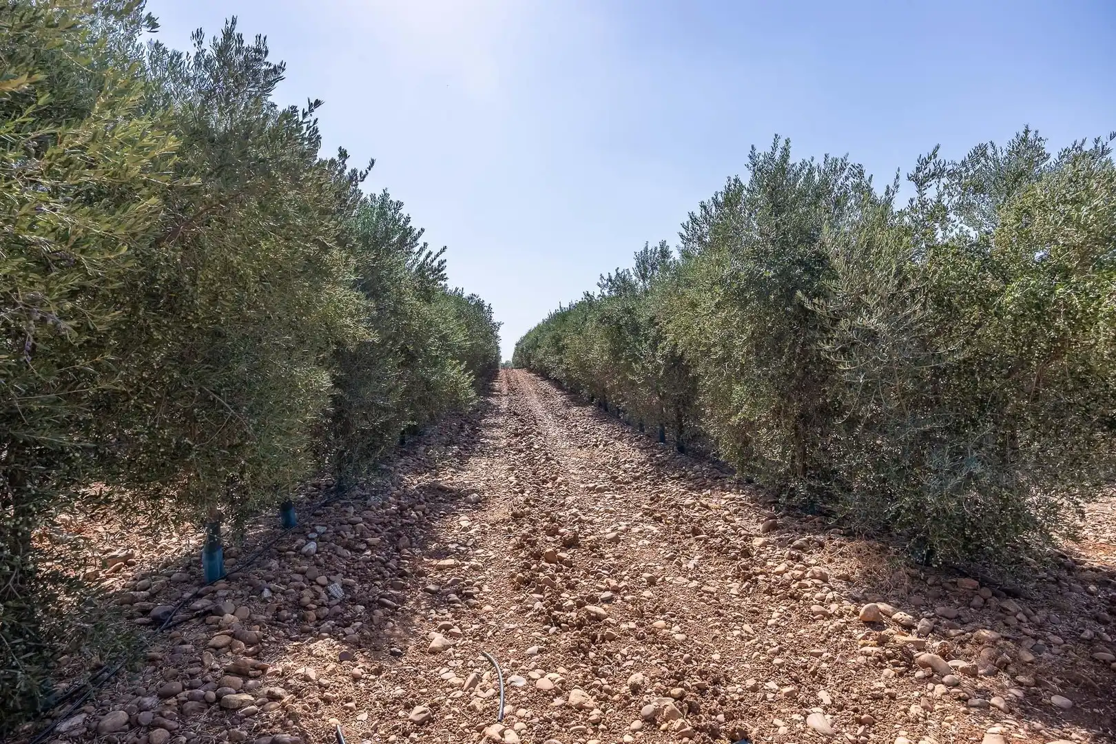 Finca rústica en venta en Carmona con Calefacción, Jardín privado y Terraza