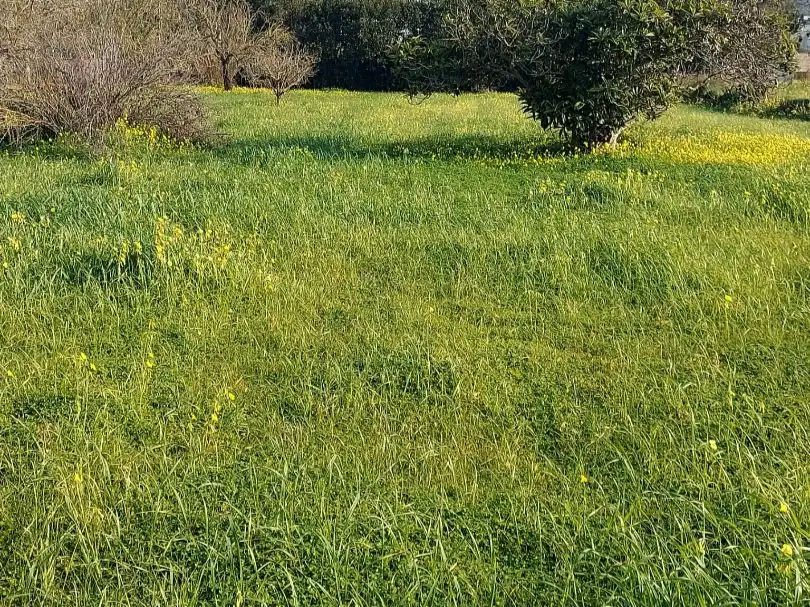 Land for sale in Sant Antoni de Portmany
