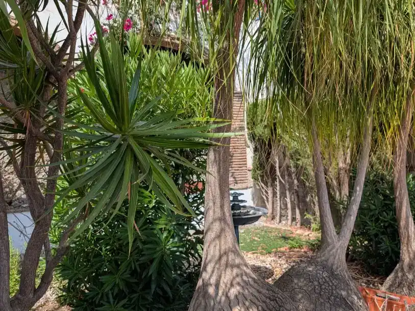 Jardí de Casa o xalet en venda en Almuñécar amb Jardí privat i Balcó