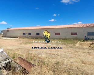 Vista exterior de Nau industrial en venda en El Perdigón 