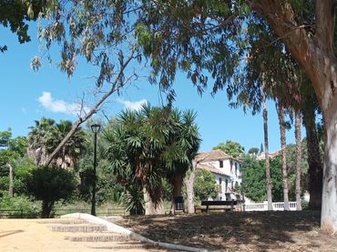 Business premises for sale in Calle de Valdepeñas