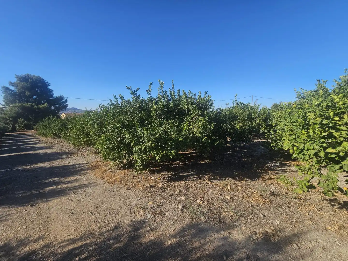 Maison rustique à vendre à Sierra de Carrascoy, imagen 21