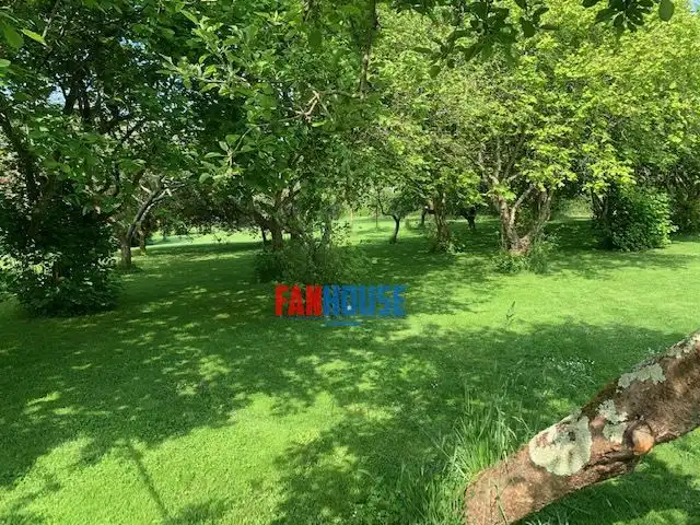 Grundstücke und Bauplätze zum Verkauf in De los Maizales, imagen 6