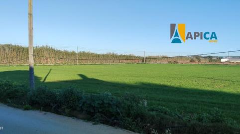 Foto 4 de Casa o chalet en venta en Barrio Nuevo, Conil de la Frontera