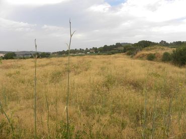 Terreno residenziale in vendita a Caravaca de la Cruz