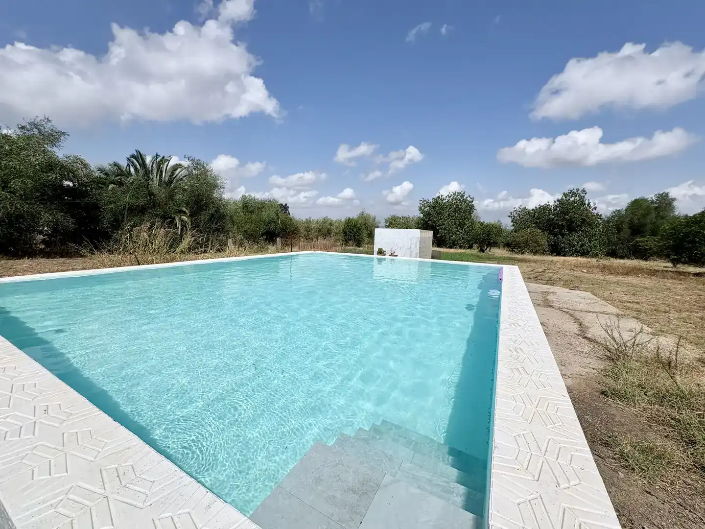 Piscina de Casa o xalet en venda en Carmona amb Aire condicionat, Jardí privat i Traster