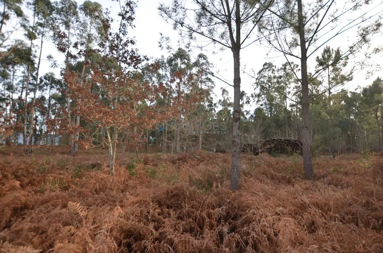Residential land for sale in LUGAR O MONTE, imagen 28