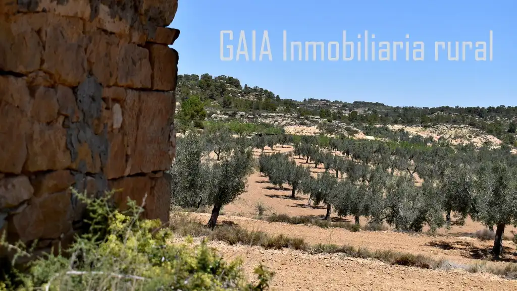 Finca rústica en venta en Mazaleón