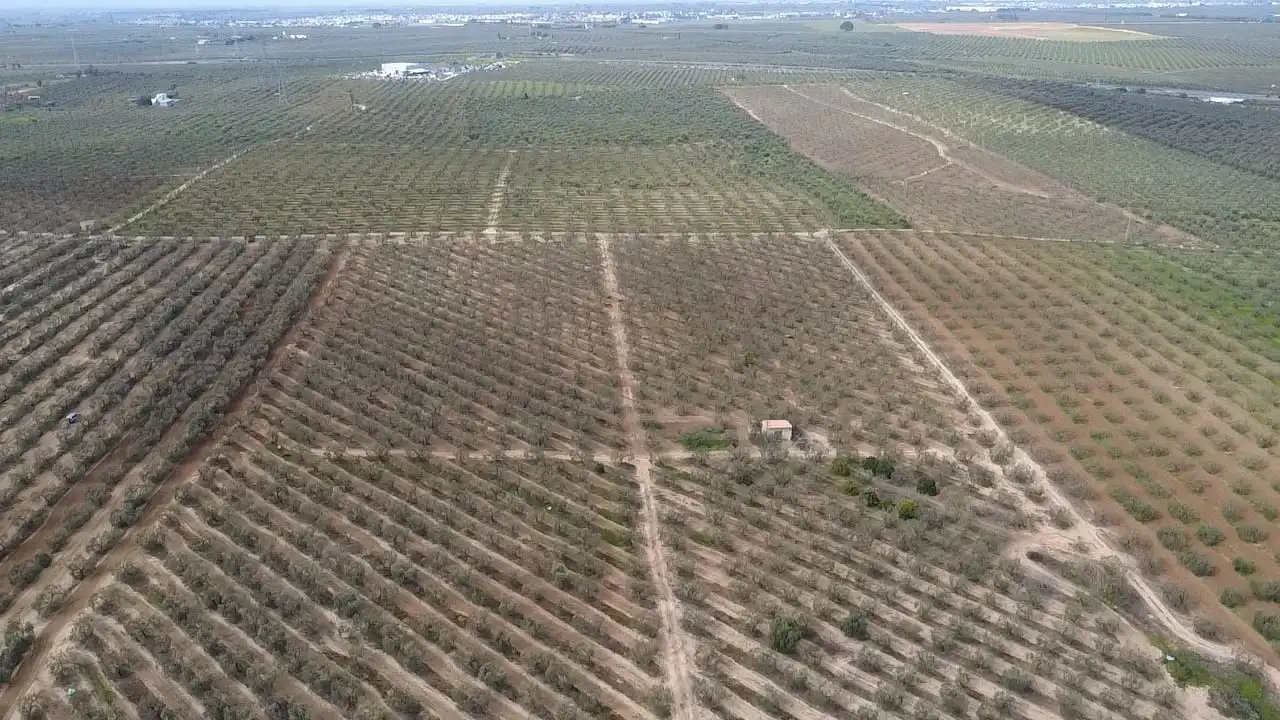 Terreno en venta en Bormujos
