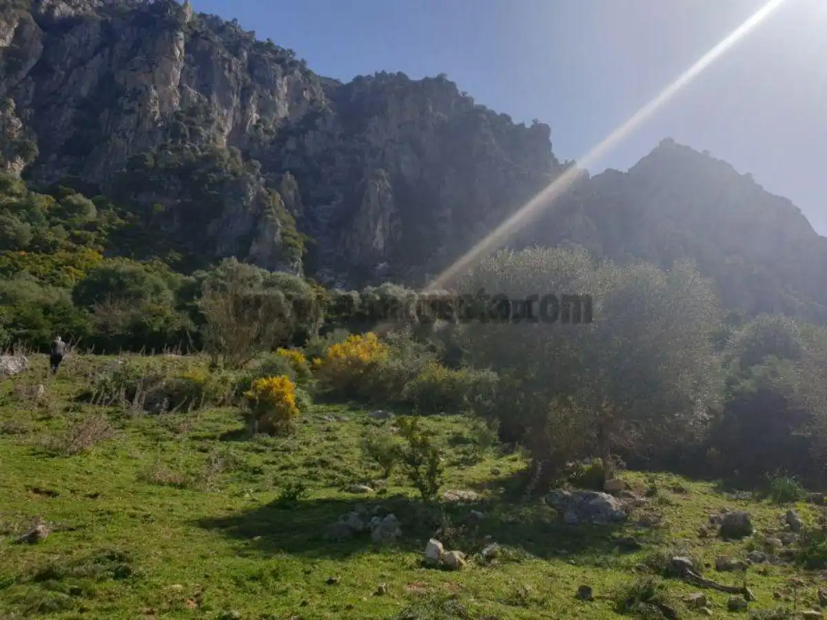 Residencial en venda a Casares, Málaga