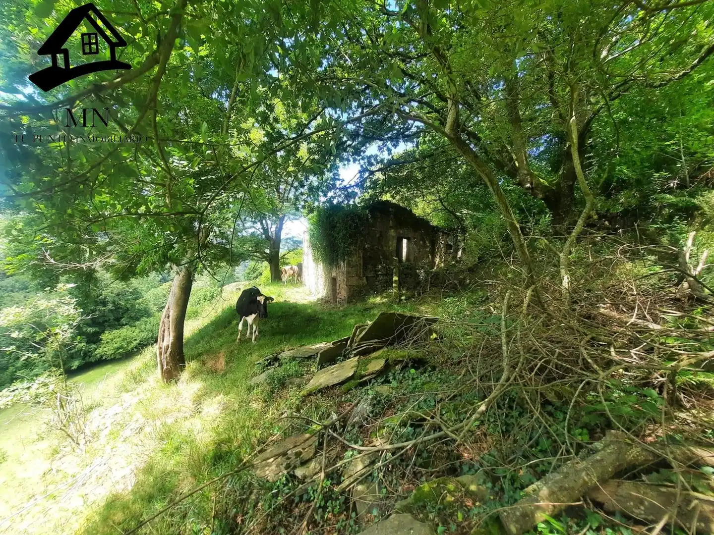 Country homes for sale in Selaya