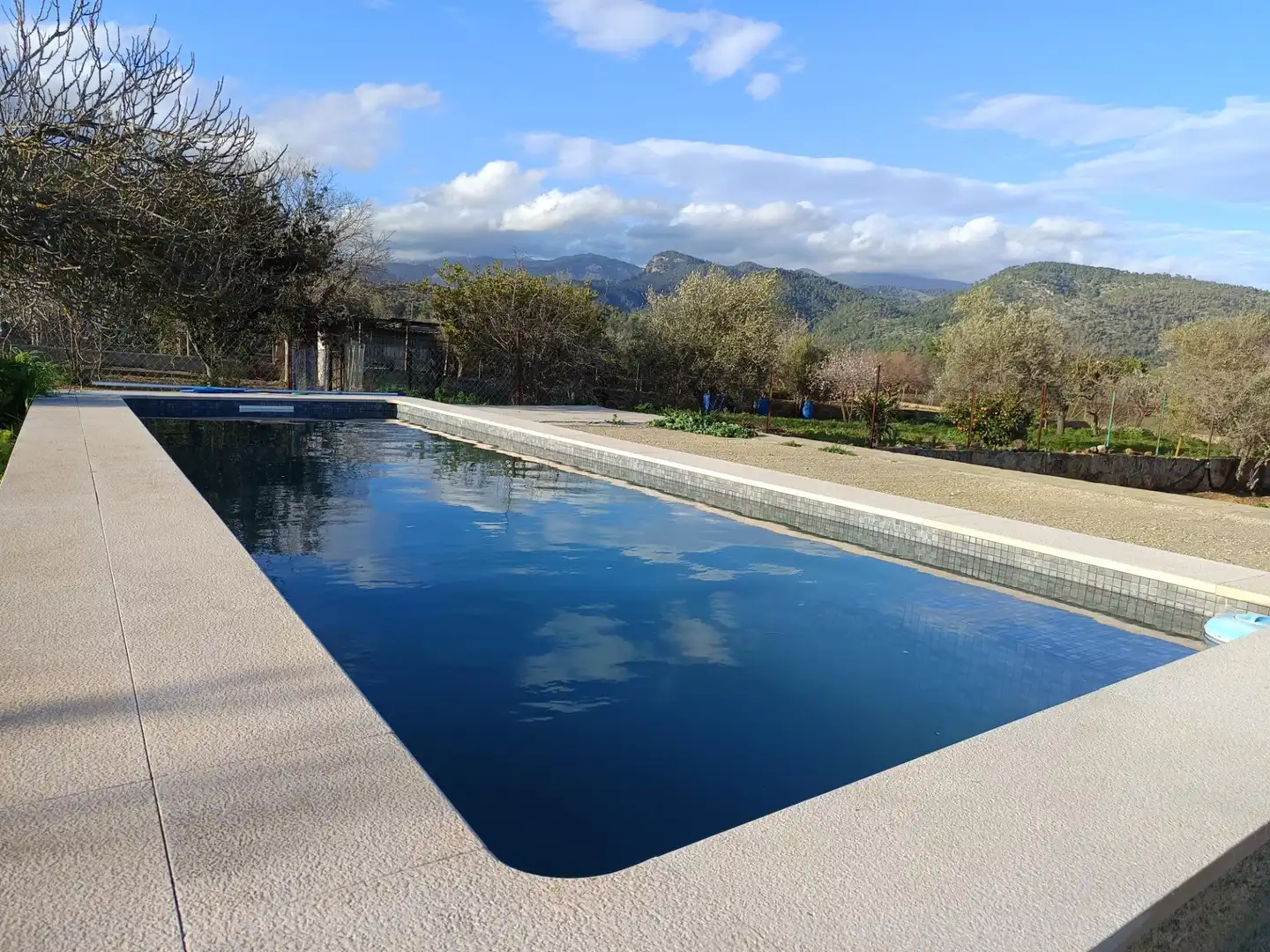 Swimming pool of Houses for sale in Binissalem  with Air Conditioner, Heating and Private garden